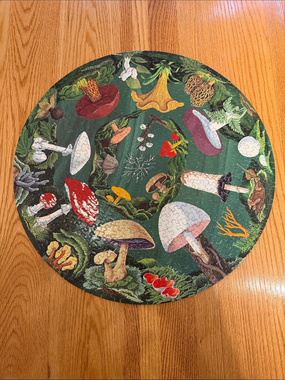 1968 Springbok “The Mushroom Puzzle” (artist: Booth Courtenay)